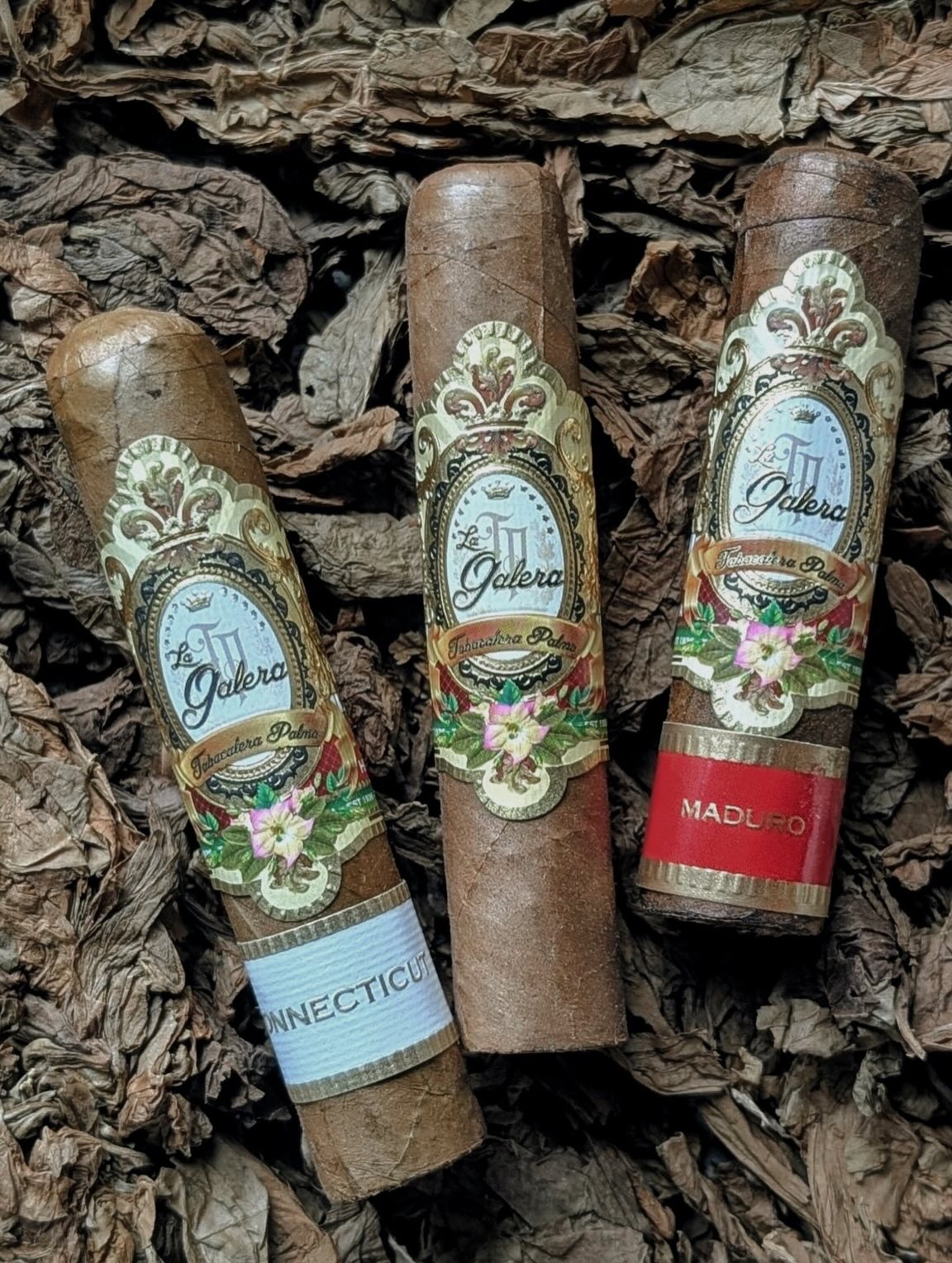 Drei Deckblätter. Drei Charaktere. Ein Name: La Galera ✨